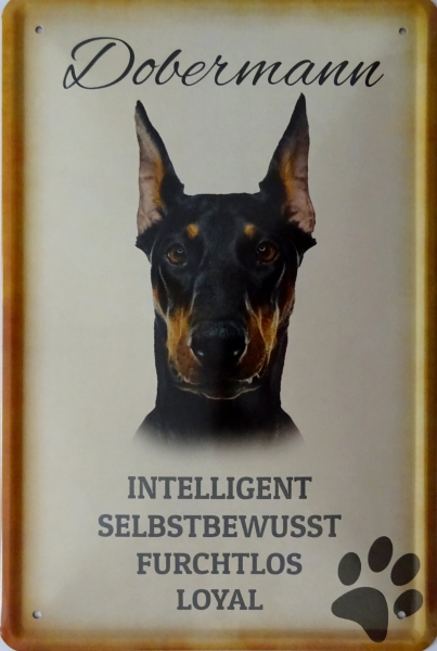Blechschild - Dobermann - K047 (405) Blechschild - Dobermann - K047 (405)