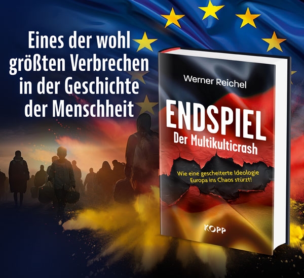 Buch - Endspiel - Der Multikulticrash Buch - Endspiel - Der Multikulticrash