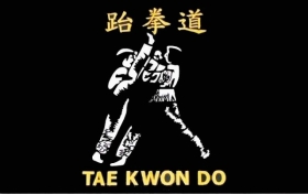 Fahne - Tae Kwon Do Fahne - Tae Kwon Do